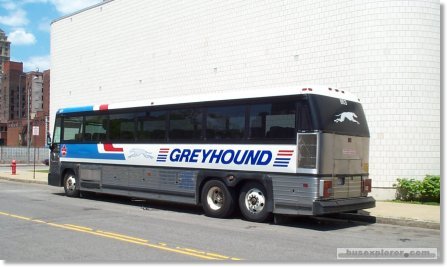 greyhound-bus-1.jpg